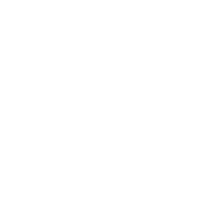 Lucchin Logo